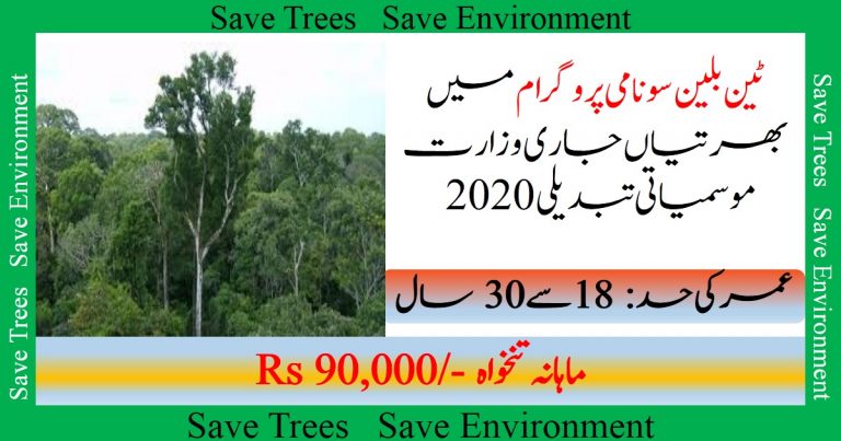 http://lowpolyfbx.com/government-jobs-pakistan-apply-online/