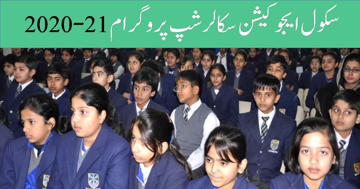 School Education Scholarship Program 2020 | Apply online