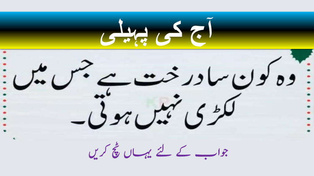 7 second riddles in urdu