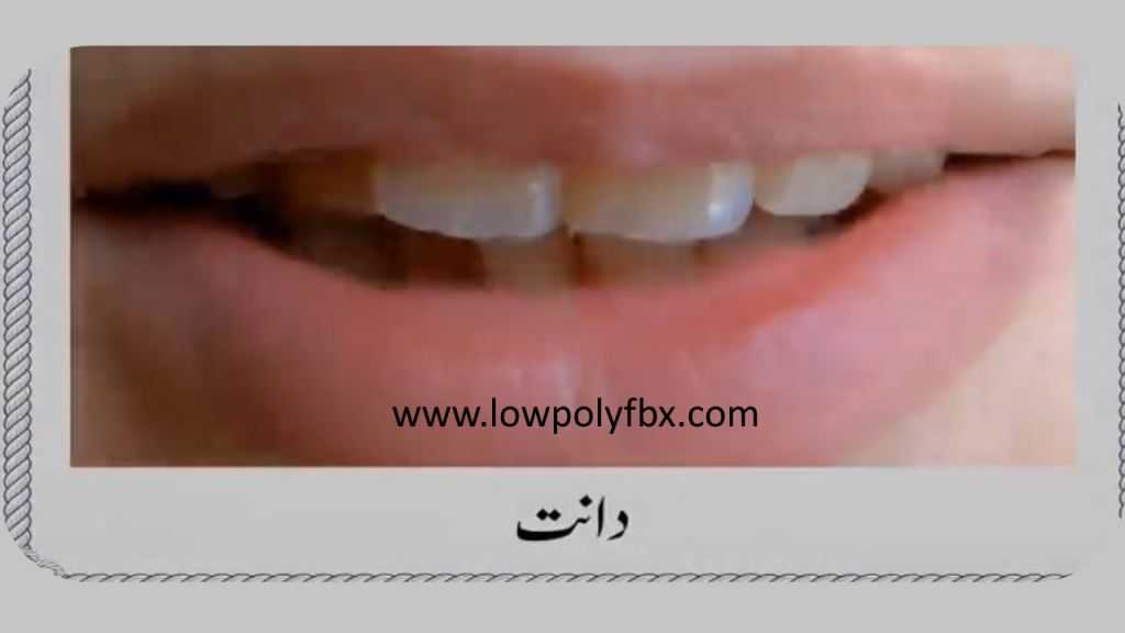New paheliyan in urdu with answer 2020